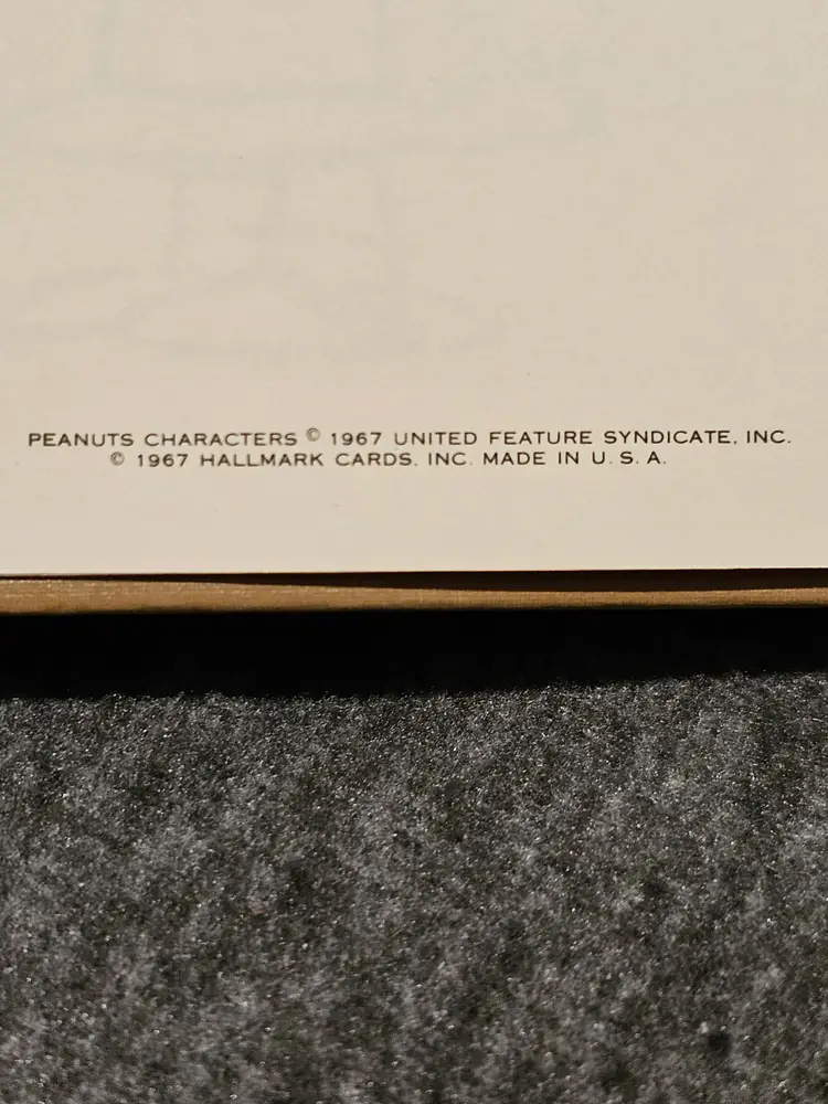 Lucy Looks at Life and The Gospel According to Peanuts