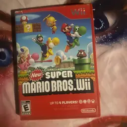 Super Mario Wii no manual