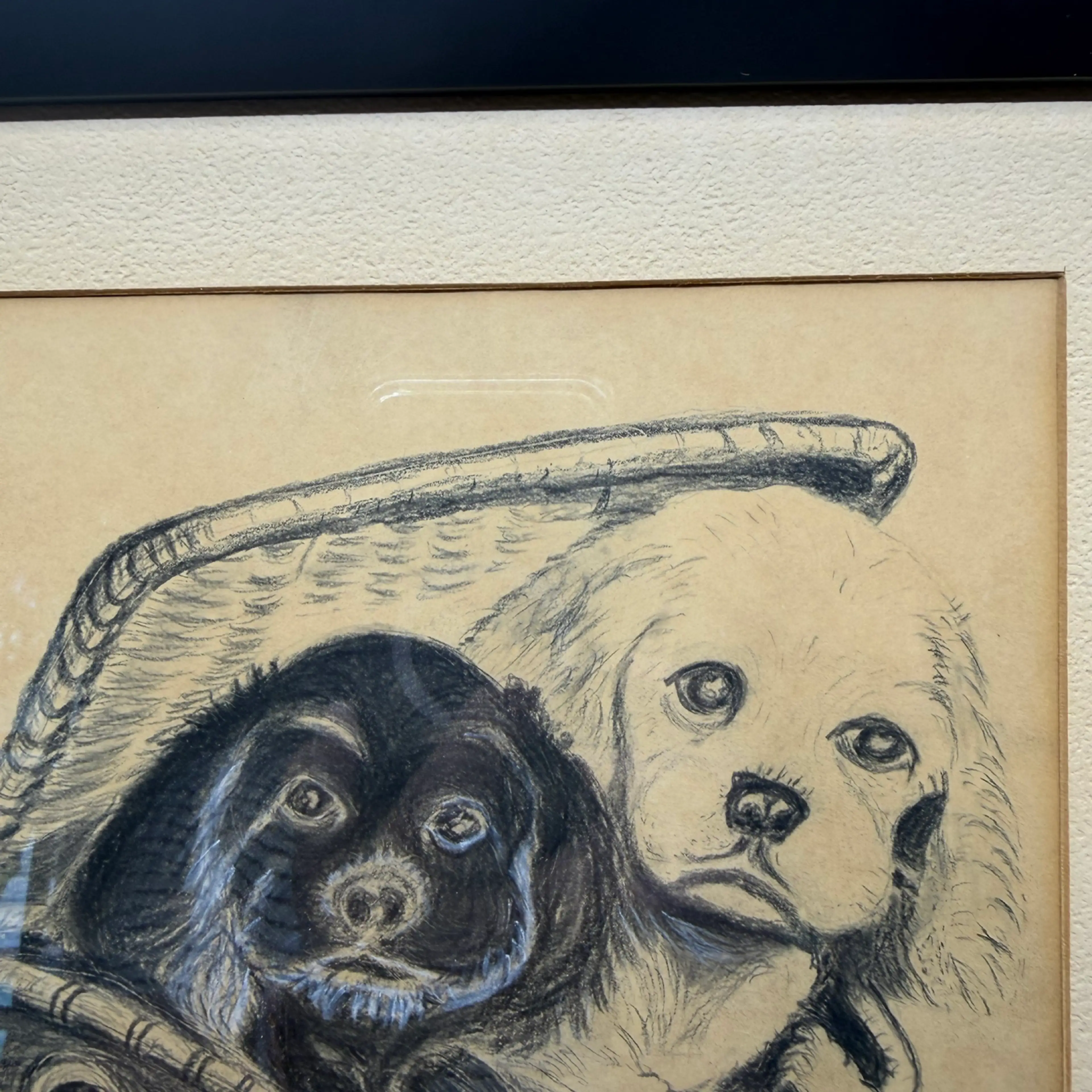 Image 4 of 10