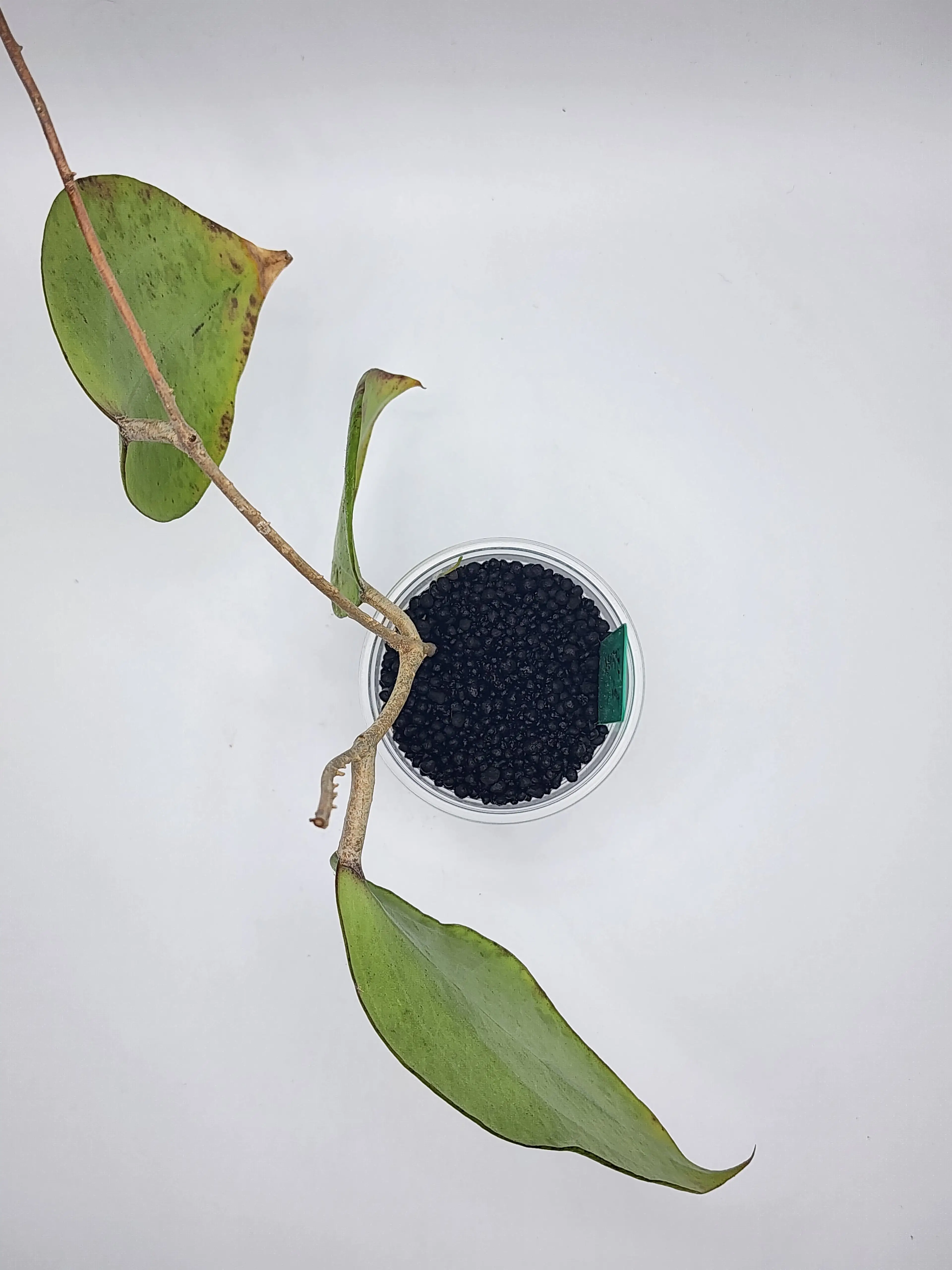 Image 2 of 2