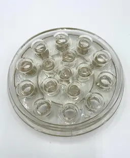 Vintage Floral Frog Clear Glass 16 Hole Flower Holder 5" Round