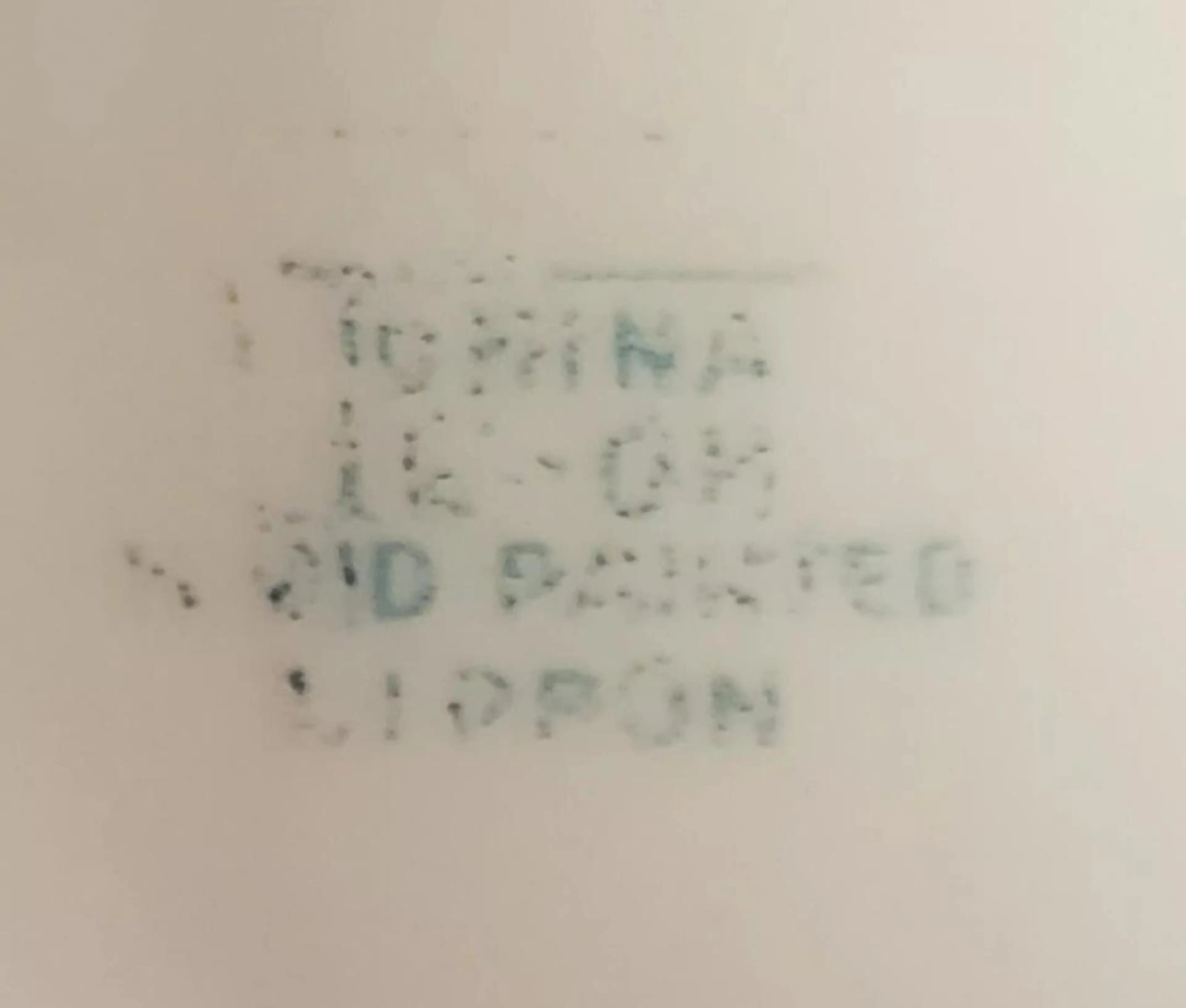 Image 4 of 10