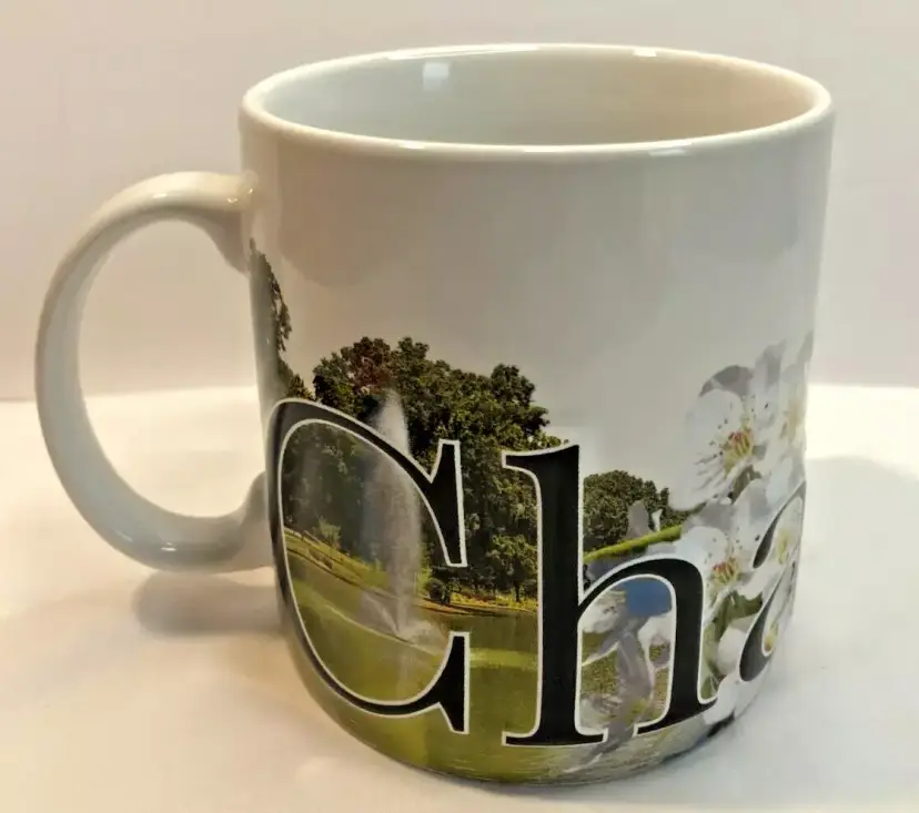 Charlotte Souvenir XL Jumbo Coffee Mug Cup Travel Red Cardinal Dogwood Travel