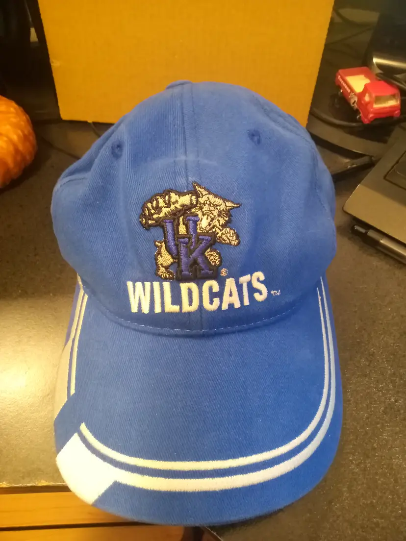 Kentucky wildcats Kids Hat