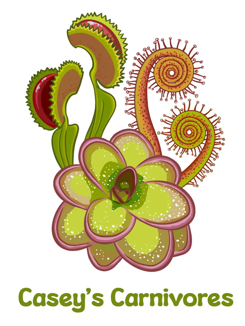 Livestream thumbnail