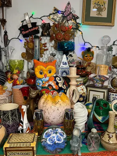 ✨New Items🌸Scan My Shelves✨