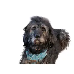 #26 - 1/26/26 Pop Up Show