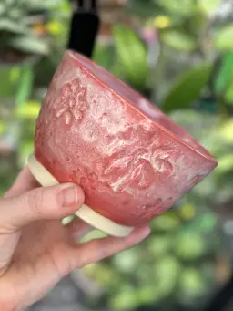 Handmade pot, no drainage 4.5 Inch