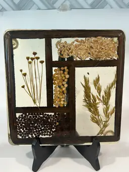 Colorflo - Acrylic Trivet-  Ready to Hang Wall Art- Pressed Flowers, Seeds and Wheat. 8.75” Square- Original Sticker