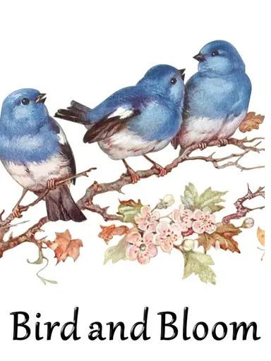 Clear My Shelves Vintage Variety