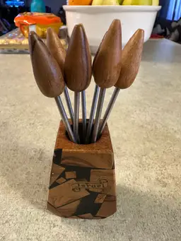 Wooden appetizer/olive picks with holder from Israel.