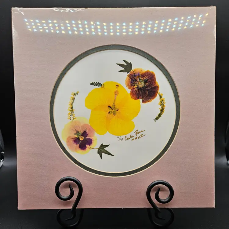 Flowers Of Aloha Carla Rose Hibiscus Botanical Art Signed Ltd Edition 9/10 NOS