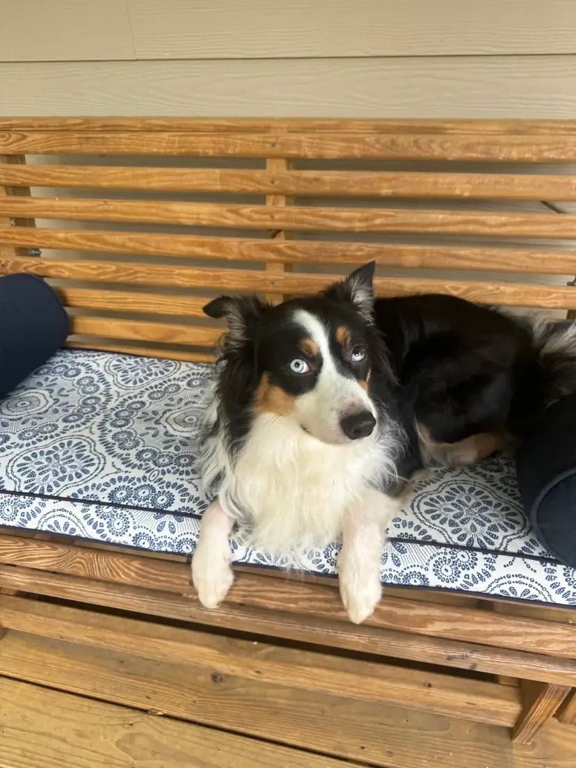 Livestream thumbnail