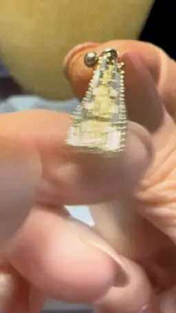 Featured Earrings Sterling & Gold