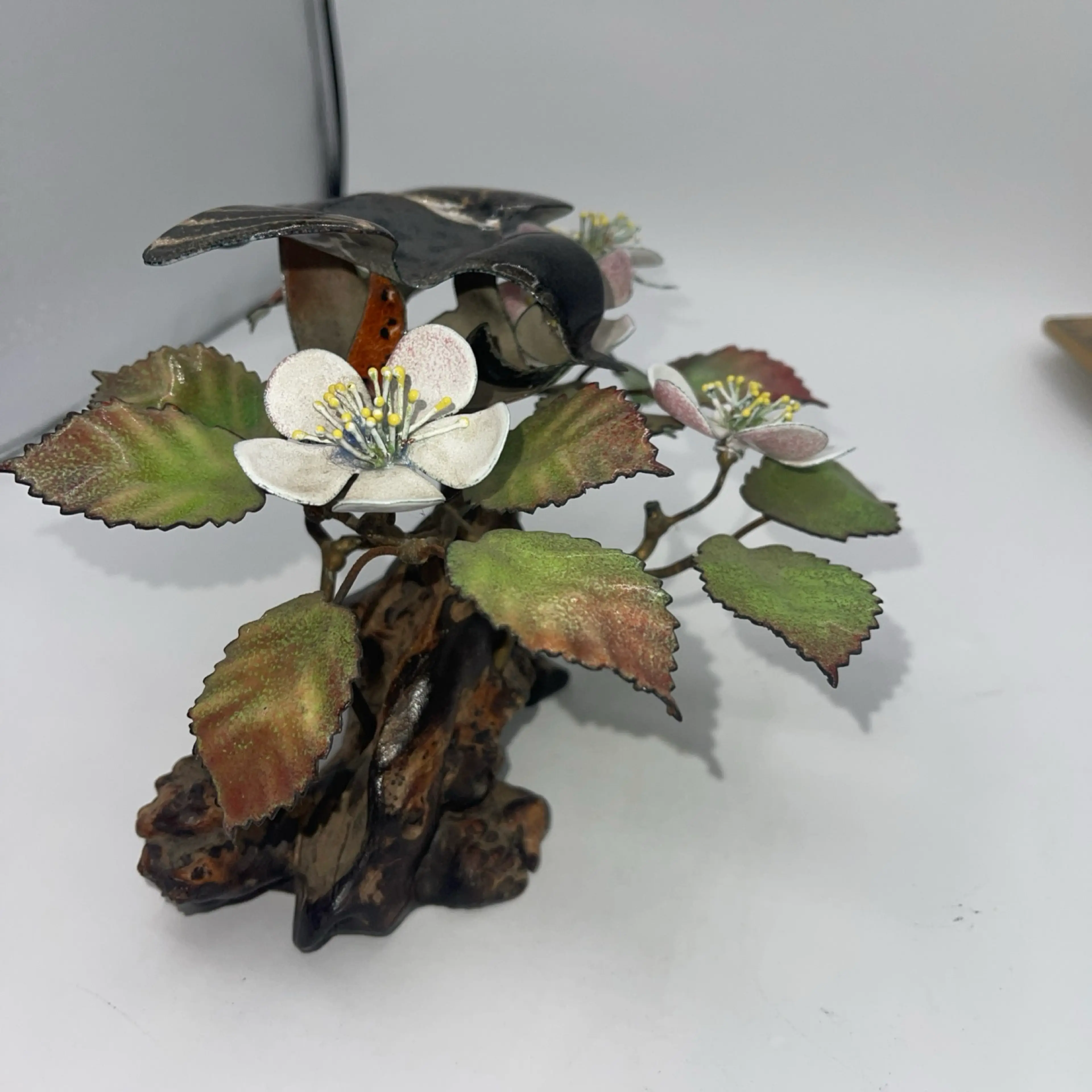 Image 5 of 12