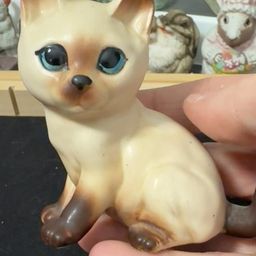 Norcrest  Kitty