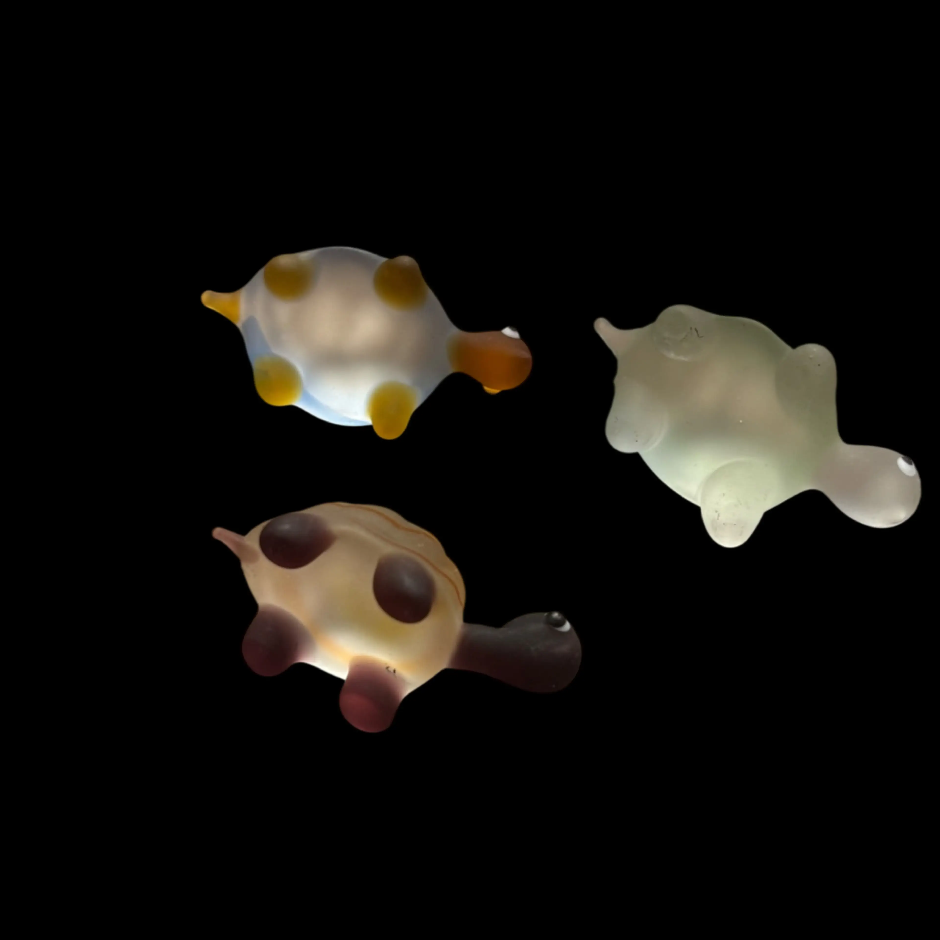 Image 5 of 5