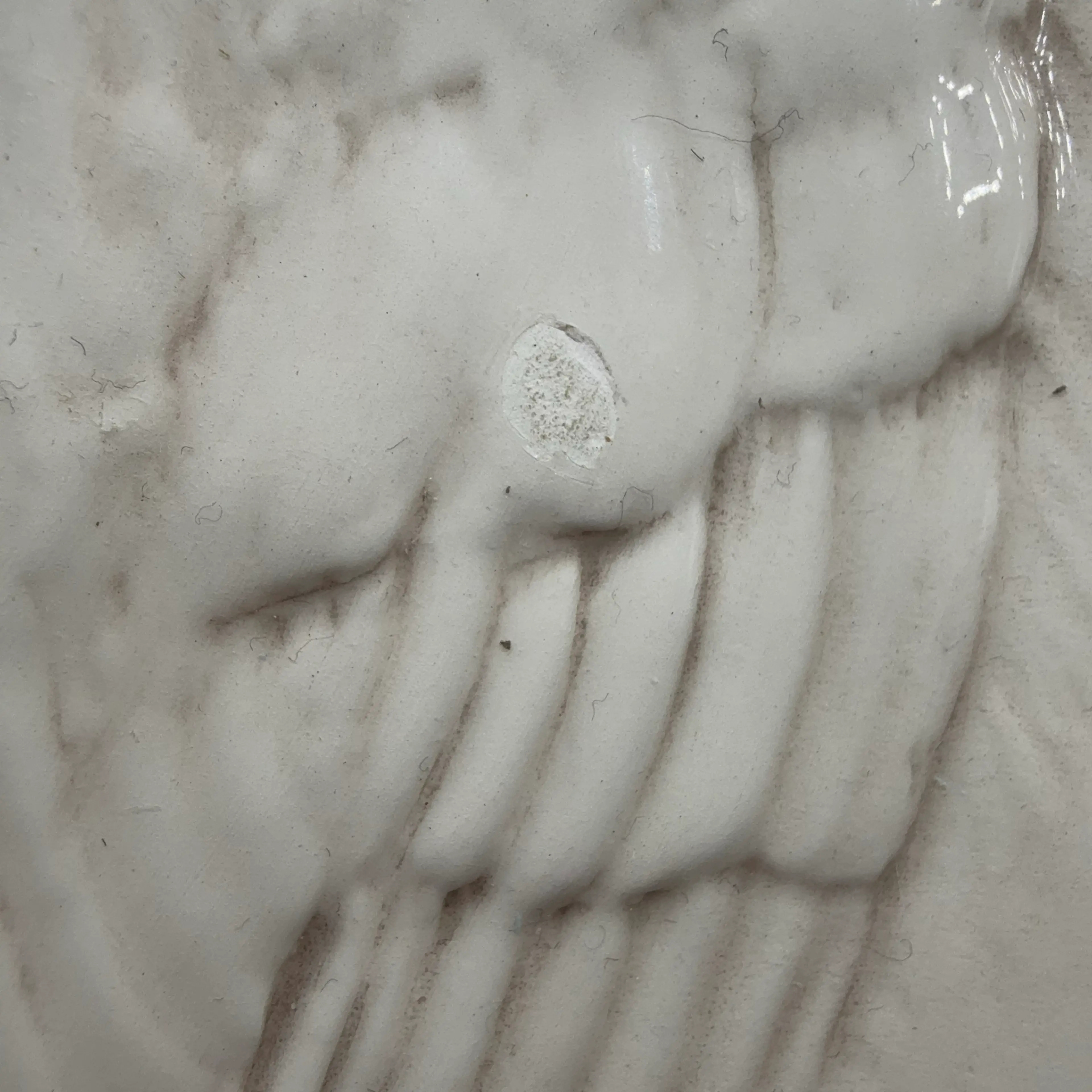 Image 5 of 5