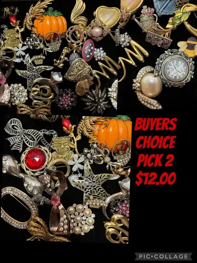 SALE $6.00 Brooches Your Choice - Timeless Treasures by Gina