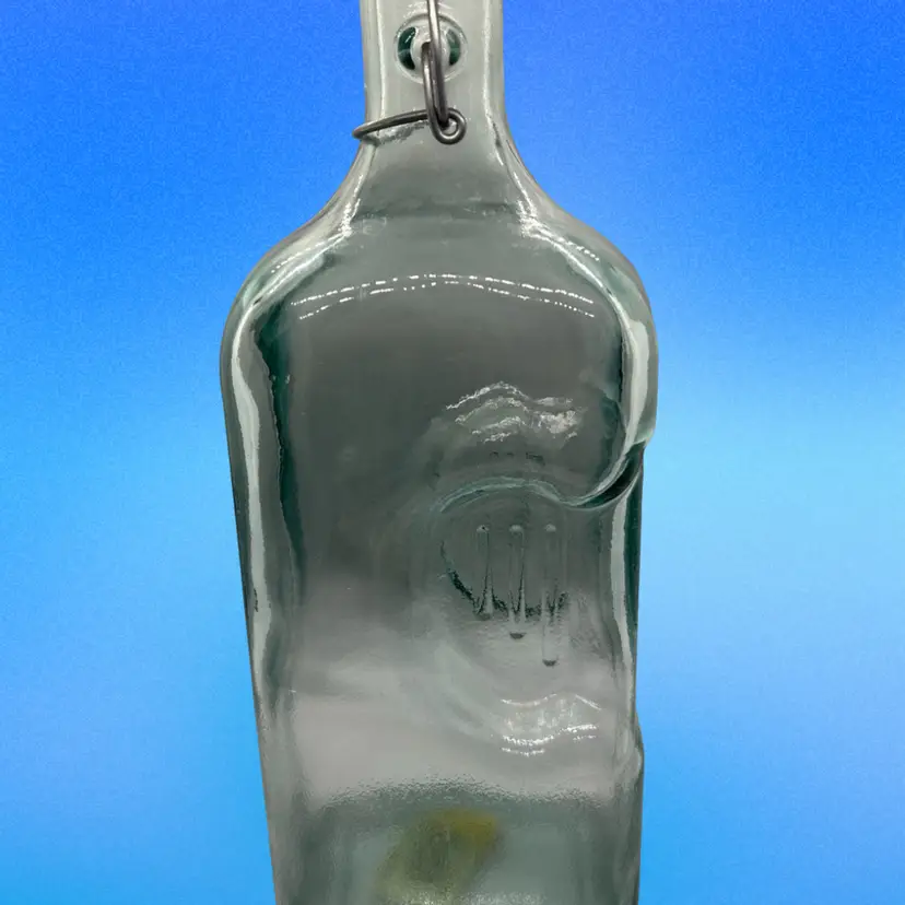 Glass Bottle With Clamp 2 L