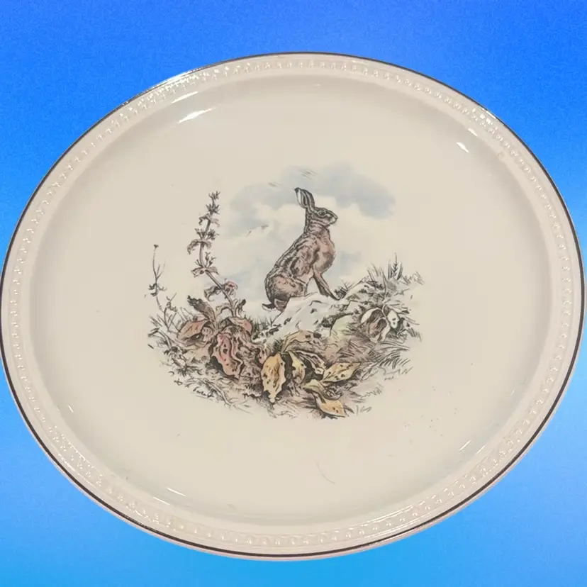 Set Of 2 Villeroy & Boch Luxembourg  Bunny Dinner Plates