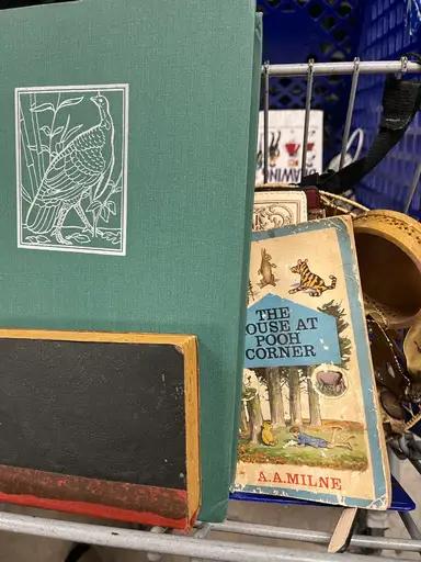 Goodwill Bins Haul Day 12!!