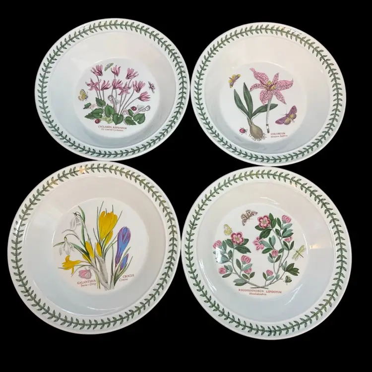 VTG Set of 4 Portmeirion Botanic Garden Pasta Soup Bowls Made in Britain - 8.5"