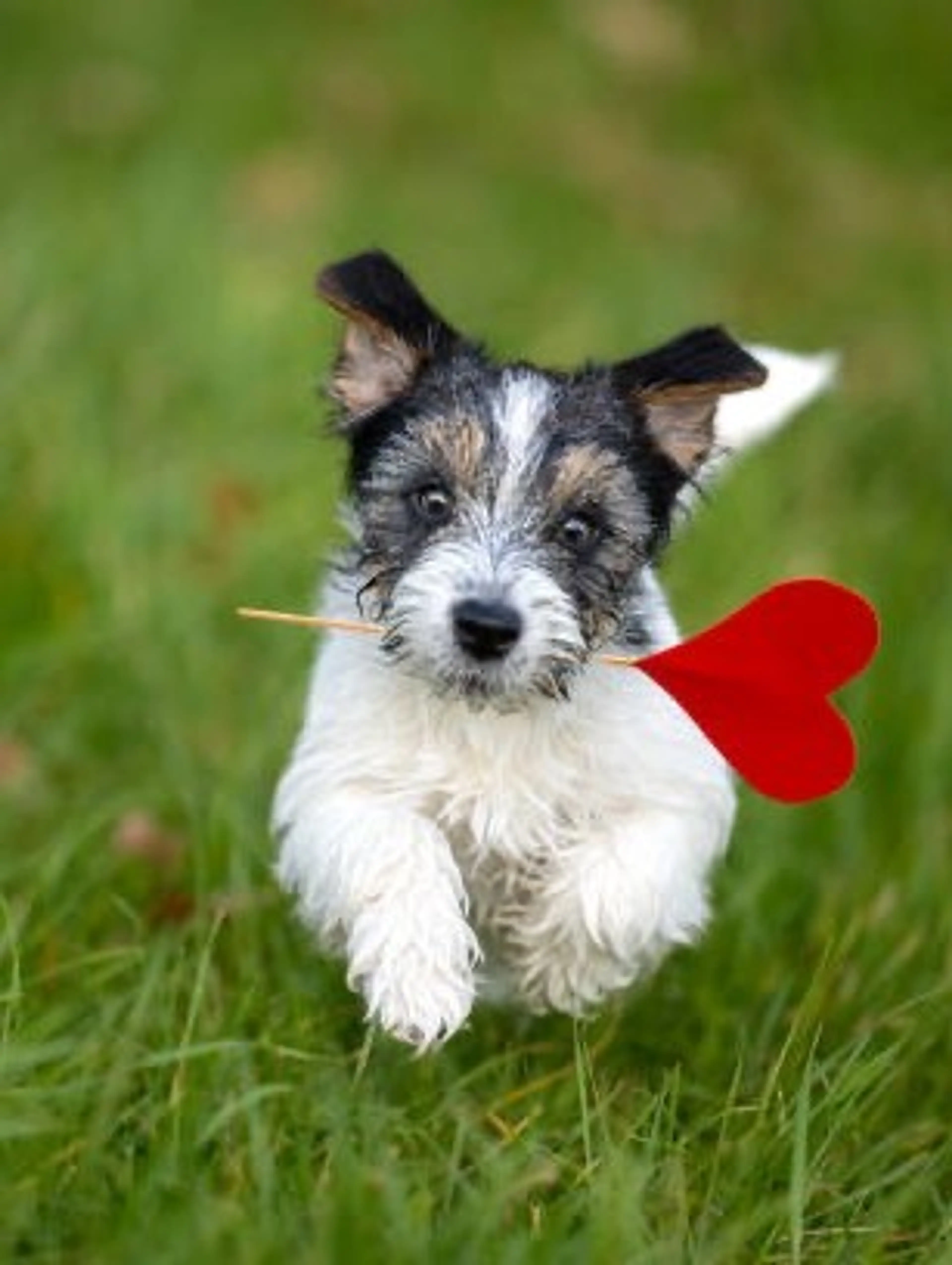 Rescheduled! Tuesday Variety Madness!