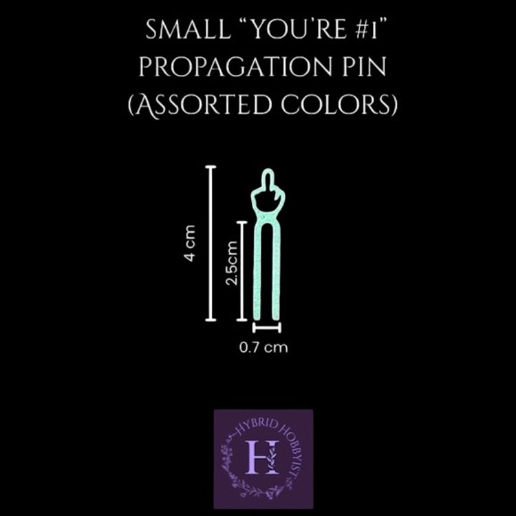 Acrylic propagation pins (small, assorted colors, 20ct)