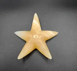 Starfish Paperweight