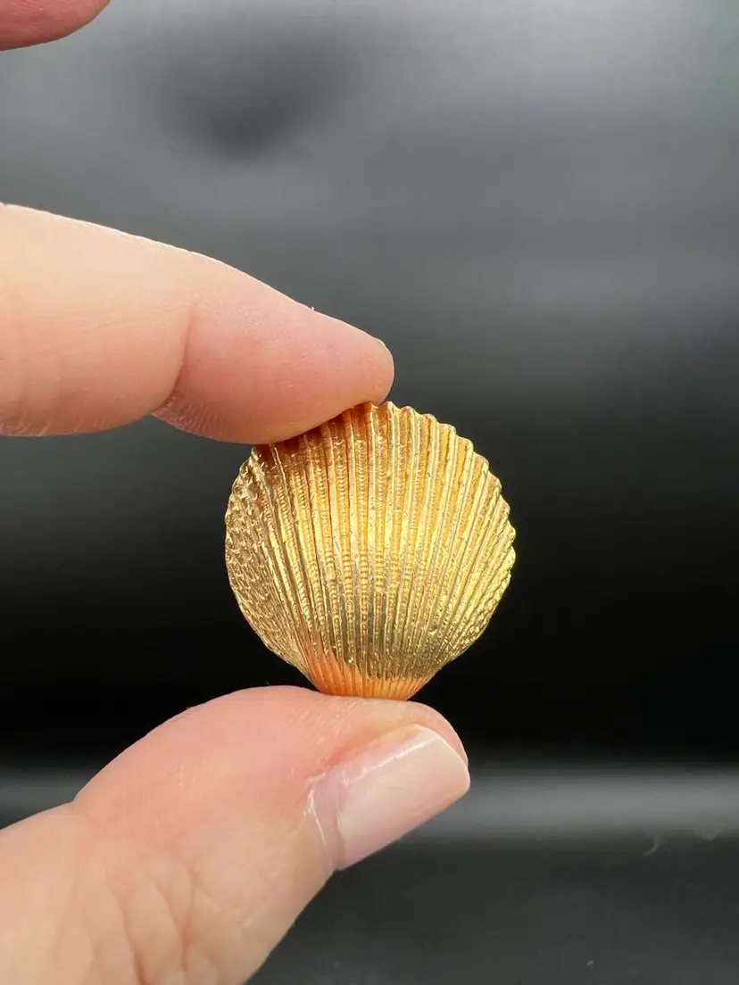 Small Golden Shell Brooch Not Marked