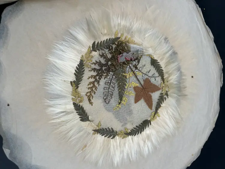 6 Jamaican Palm Tree And Fern Doilies In Original Folder Circa 1920S