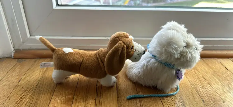 Coconut And Grace AG Dogs