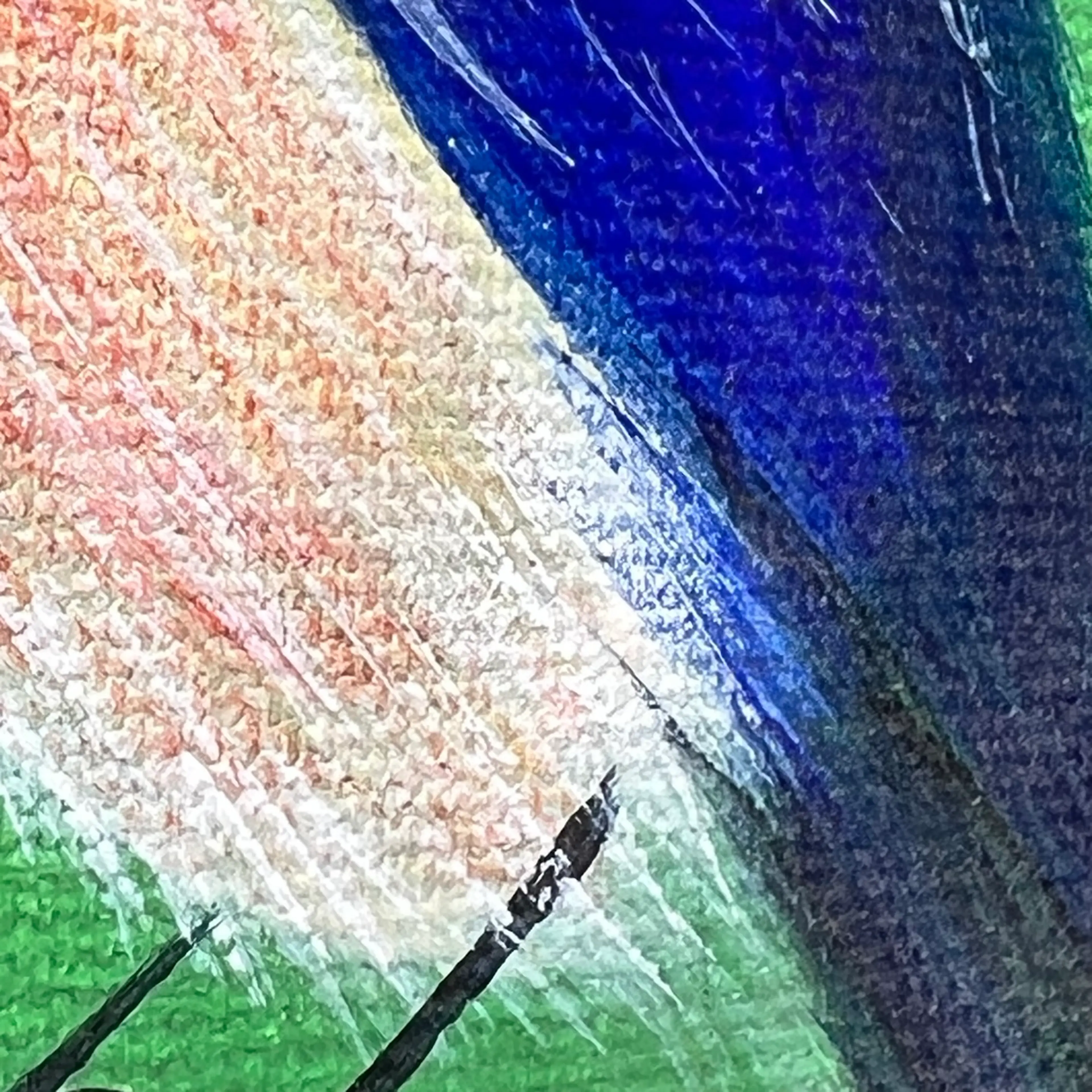 Image 4 of 6