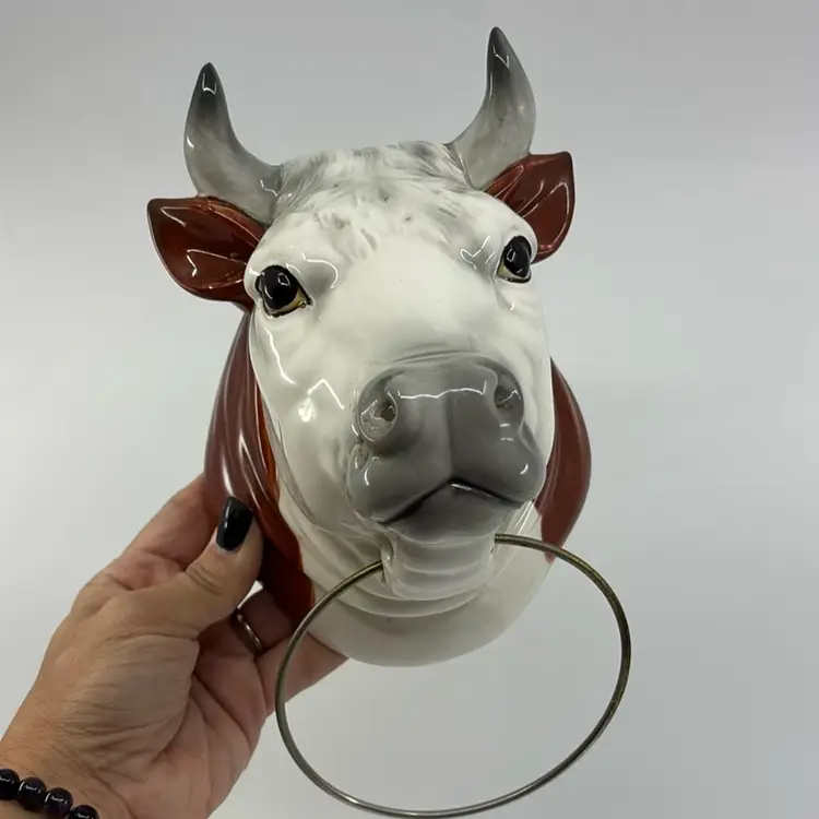 Hard To Find Rosenthal Netter Bull Nose Ring Wall Pocket 9.5”