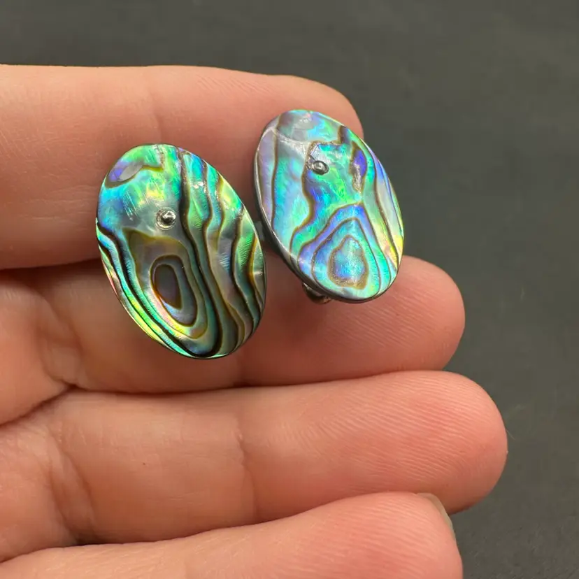 Vintage Abalone Shell Sterling Silver Screwback Earrings 3/4”H
