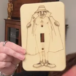 Light switch Cover