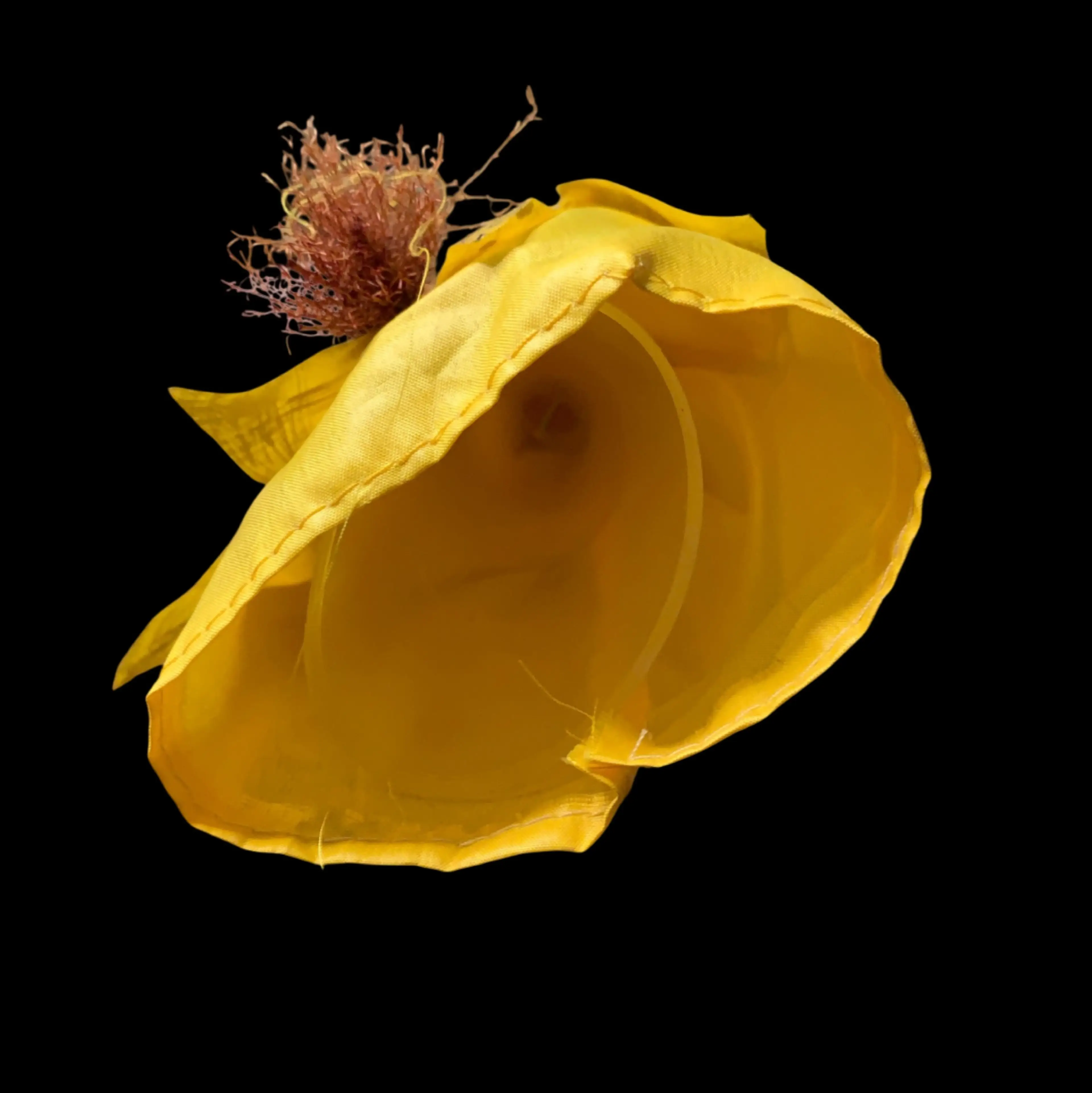 Image 3 of 6