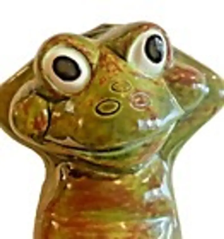 Pottery Frog 1981 Studio Art Signed Will 1981 9 Inches Long Nice Glaze Handcraft