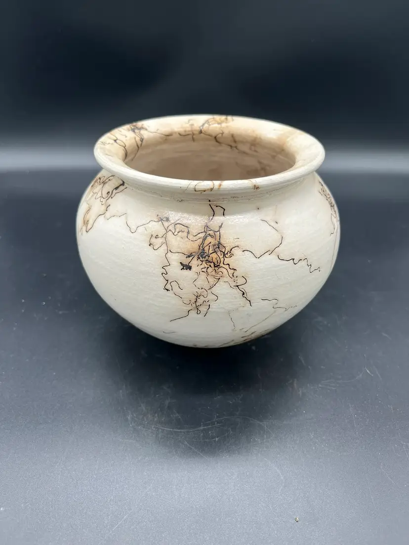 Signed Raku Horsehair Pottery Vase - Native American Art Form