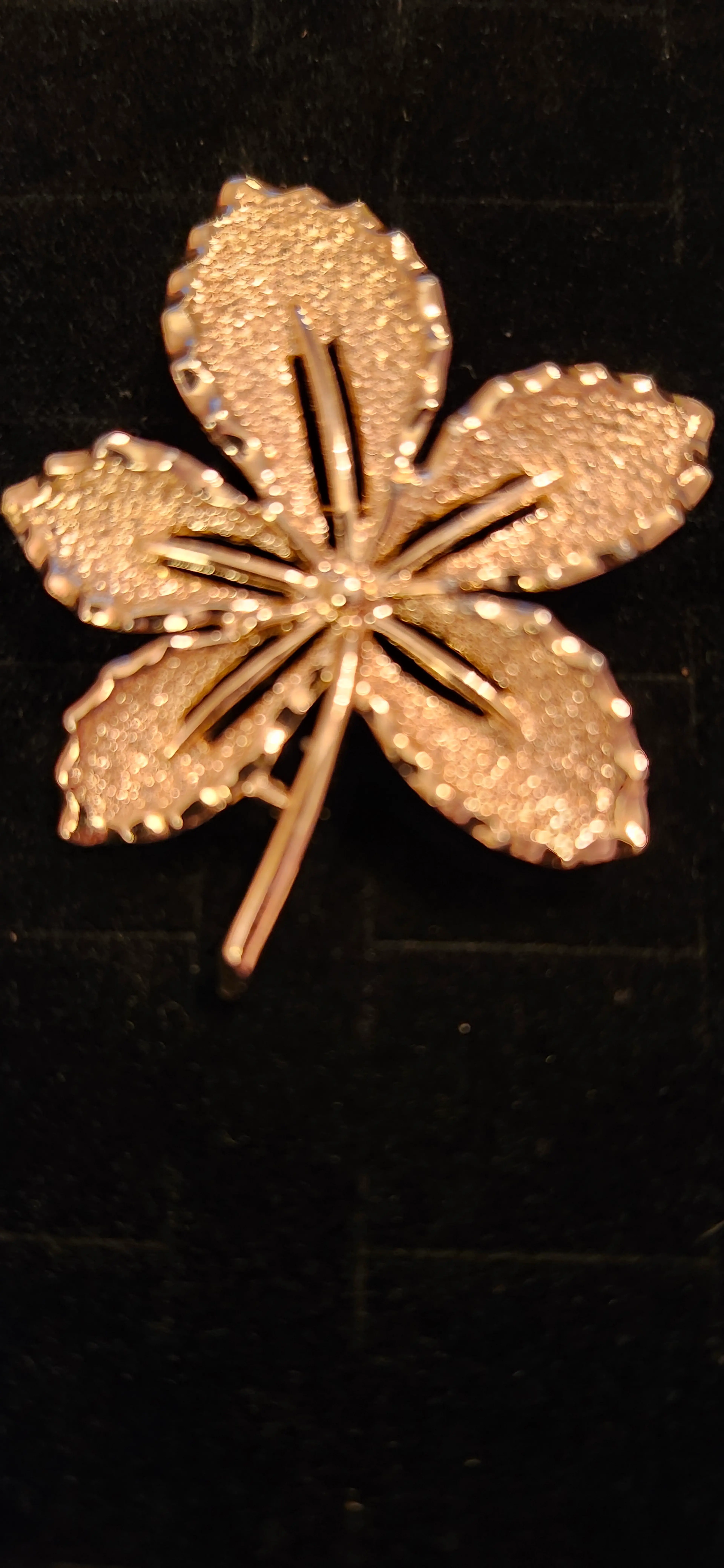Image 2 of 7