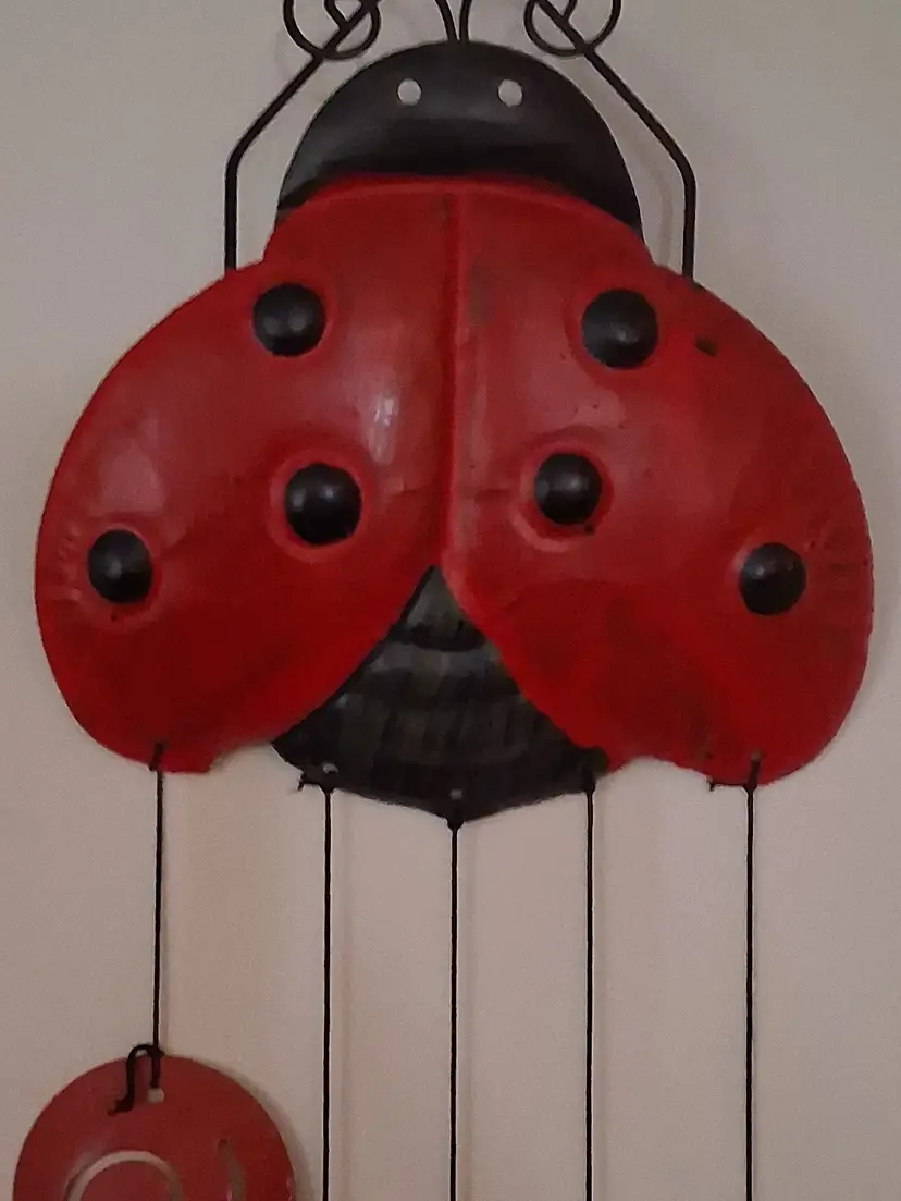 Livestream thumbnail