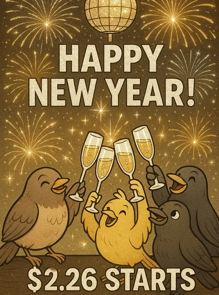 🎆Happy New Year! $2.26 Starts🎇