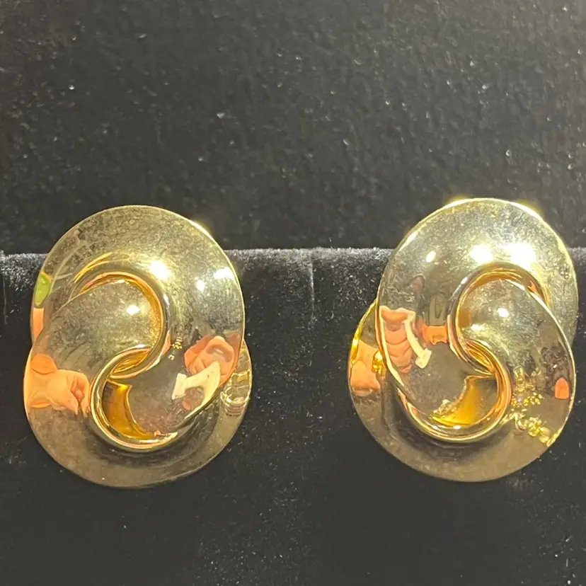 Earrings As Pictured