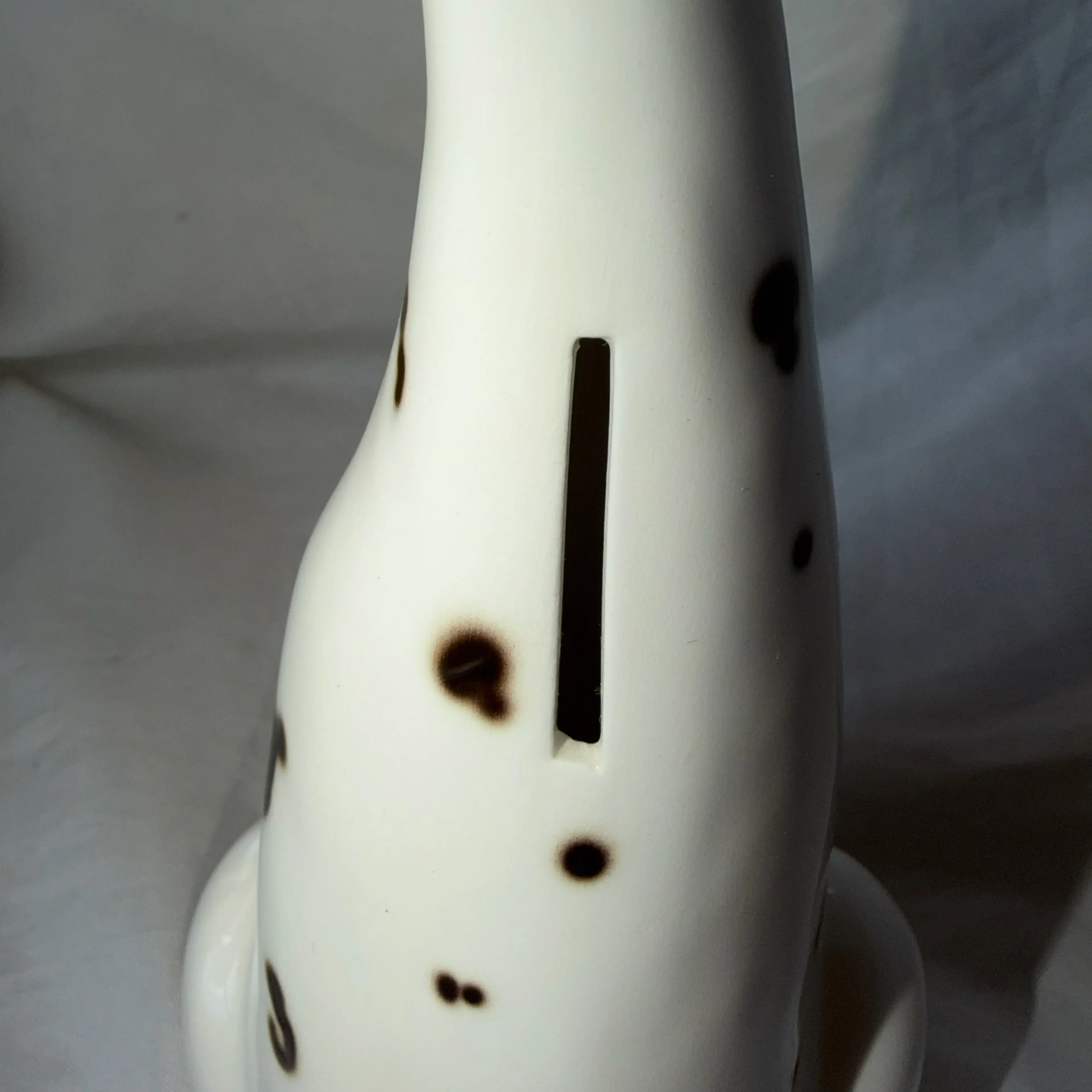 Image 5 of 5