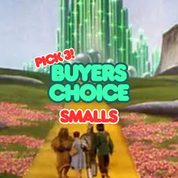 #10 - 💚PICK 3! BUYER'S CHOICE - Vintage Smalls