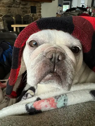 Glass & More Hidden Finds