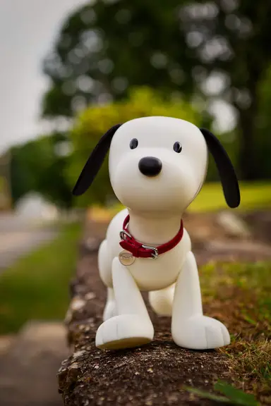 Melissa of Beagle and the Bird