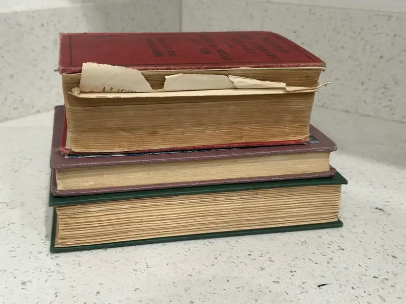 Vintage Antique Books For Decor Staging Risers