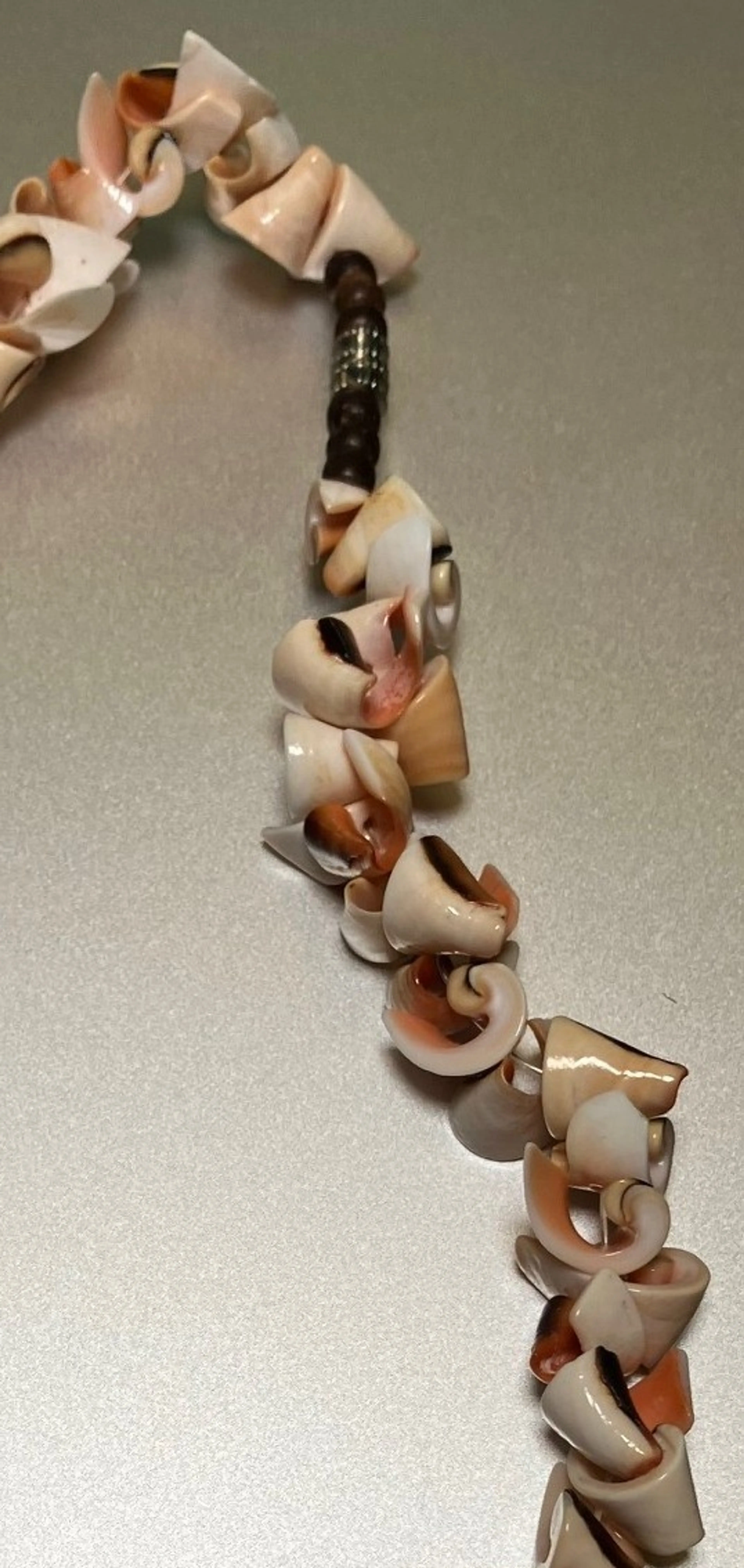 Image 4 of 5
